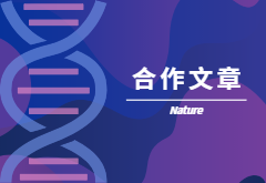 登顶Nature|产量+抗性，鱼和熊掌也可兼得